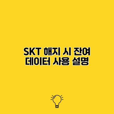 SKT 해지 시 잔여 데이터 사용 설명