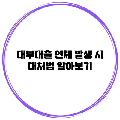 대부대출 연체 발생 시 대처법 알아보기