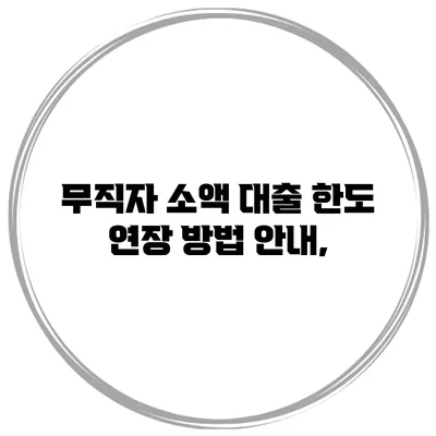 무직자 소액 대출 한도 연장 방법 안내,