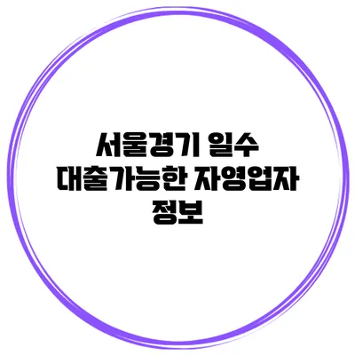 서울/경기 일수 대출가능한 자영업자 정보