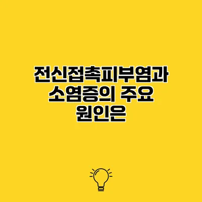 전신접촉피부염과 소염증의 주요 원인은?