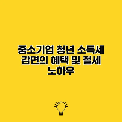 중소기업 청년 소득세 감면의 혜택 및 절세 노하우