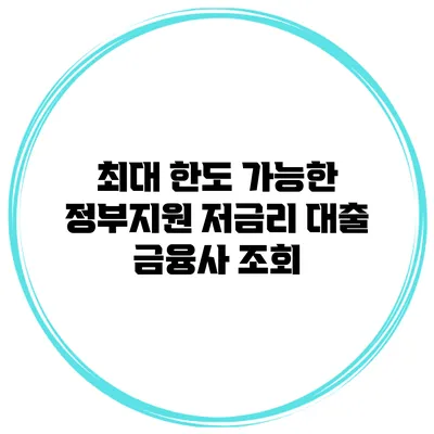 최대 한도 가능한 정부지원 저금리 대출 금융사 조회